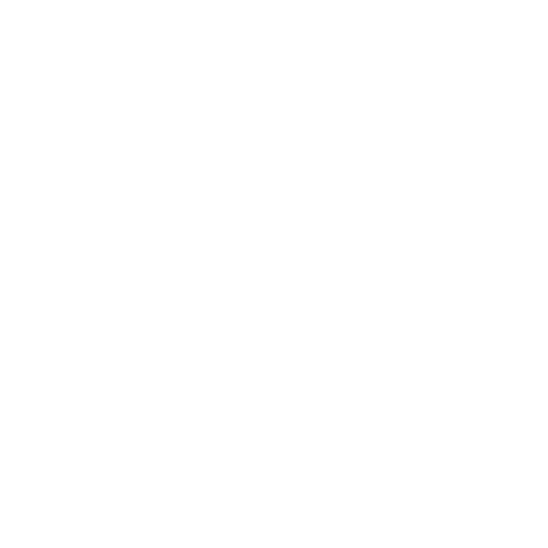 #EndGBV-F Logo